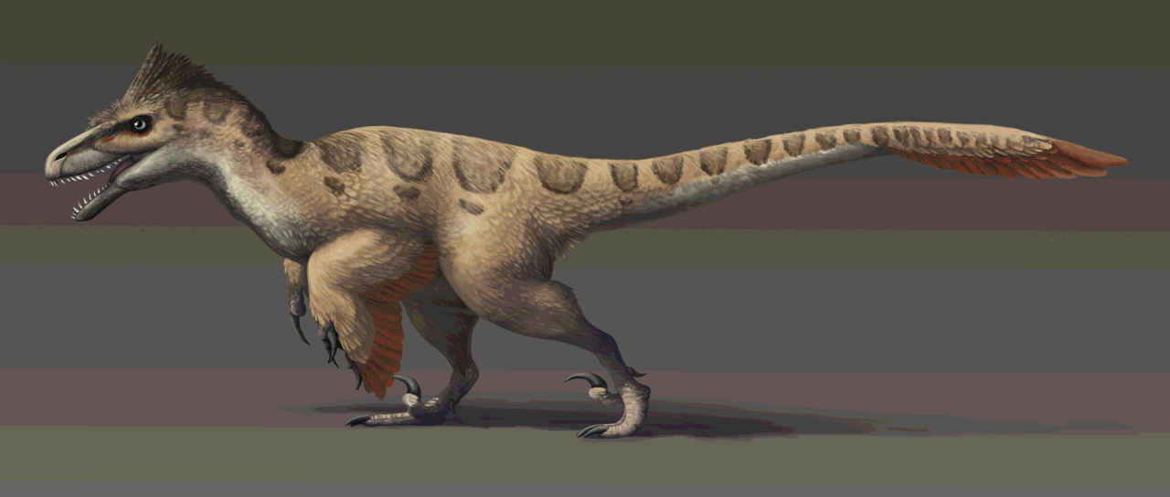 Utahraptor, similar in size and appearance to the Velociraptors depicted in Jurassic Park